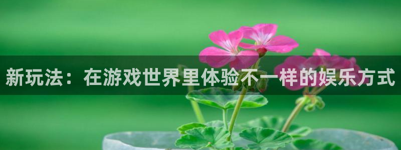 新玩法：在游戏世界里体验不一样的娱乐方式
