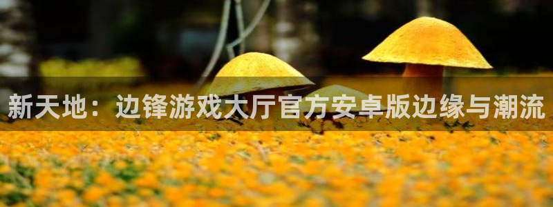 新天地：边锋游戏大厅官方安卓版边缘与潮流