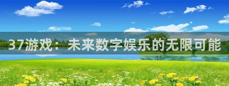 37游戏：未来数字娱乐的无限可能