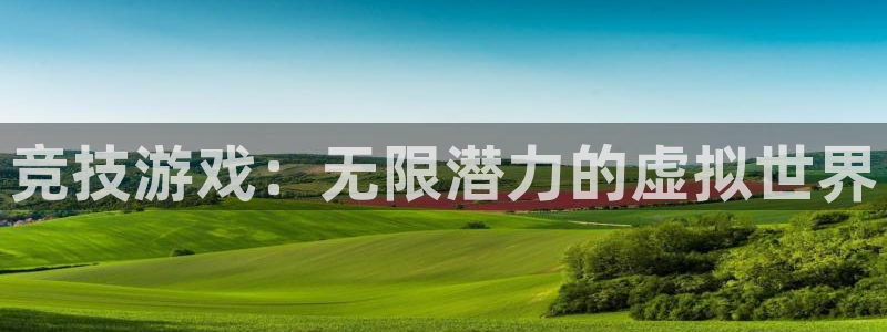 竞技游戏：无限潜力的虚拟世界