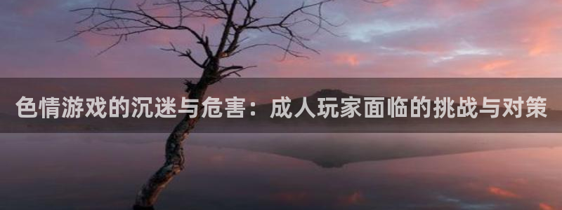 m6米乐平台：色情游戏的沉迷与危害：成人玩家面临的挑战与对策