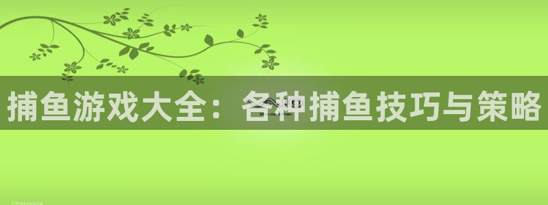 米乐熊童装属于什么档次品牌