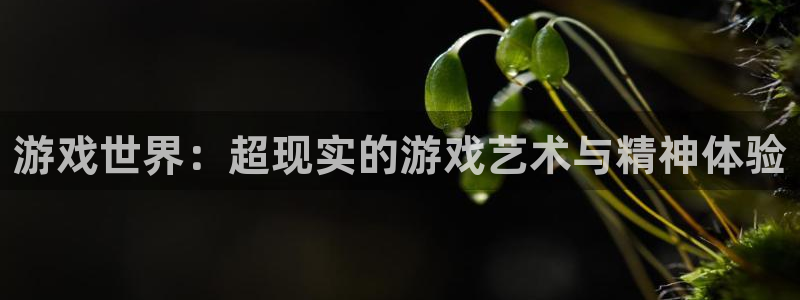 m6米乐iOS版本更新